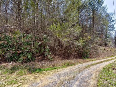 Yellow Breeches Rd, Cosby, TN, 37722