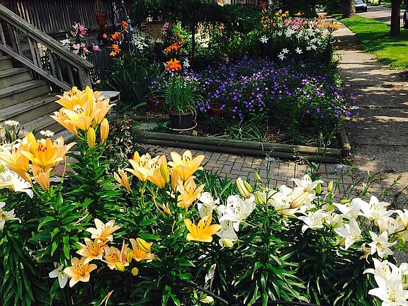 3rd image of 1256 Wayburn St