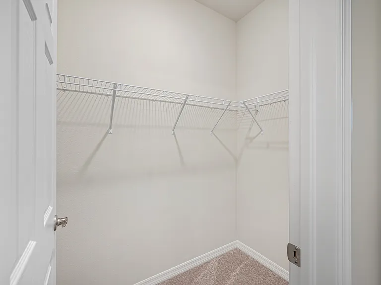 11810 Tetrafin Dr — Photo 34