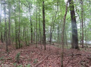 2866 Peeksville Rd, Locust Grove, GA 30248