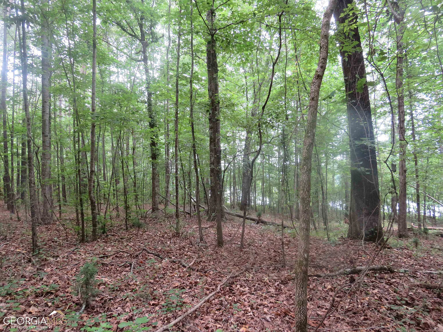 2866 Peeksville Rd photo 1