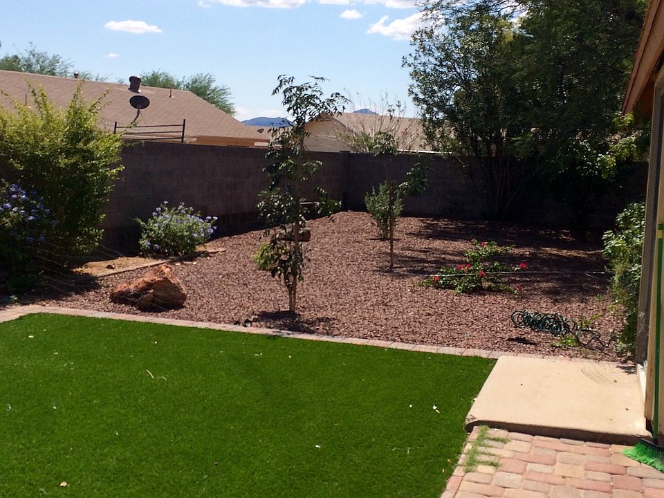 Low care back yard