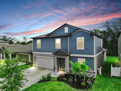 13286 Peachleaf Ave, Riverview, FL, 33579