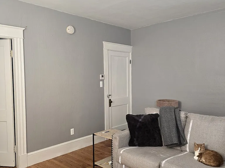 174 Ash St #3F — Photo 12