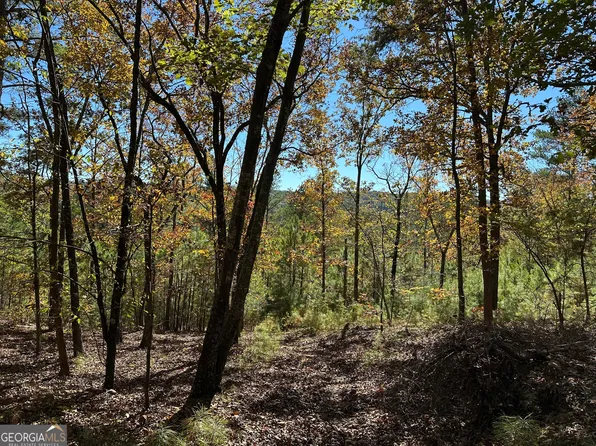 Township Road 2 Culp Lake Rd, Cedartown, GA 30125