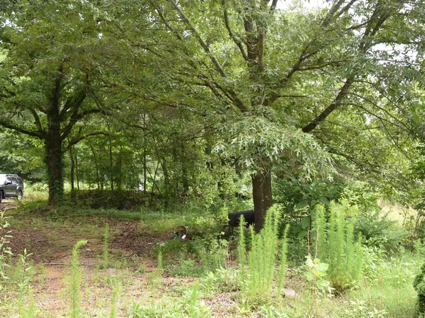 124 Rowsey School Rd, Bethel Springs, TN 38315