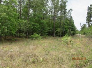 1120 Cheyenne Ct, Manning, SC 29102