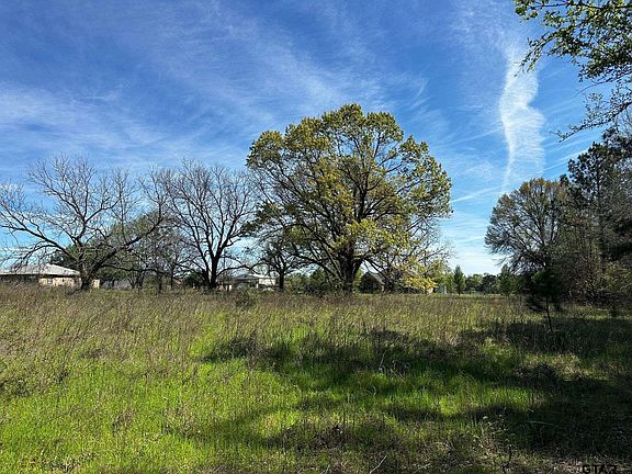 0 County Road 2950, Alba, TX 75410 | MLS #24003900 | Zillow