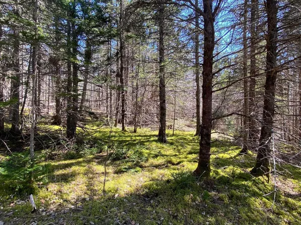 Ben Phinney Rd, Annapolis, NS B0P 1R0