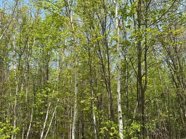 Burrows Lake Rd Lot 13, Tomahawk, WI 54487