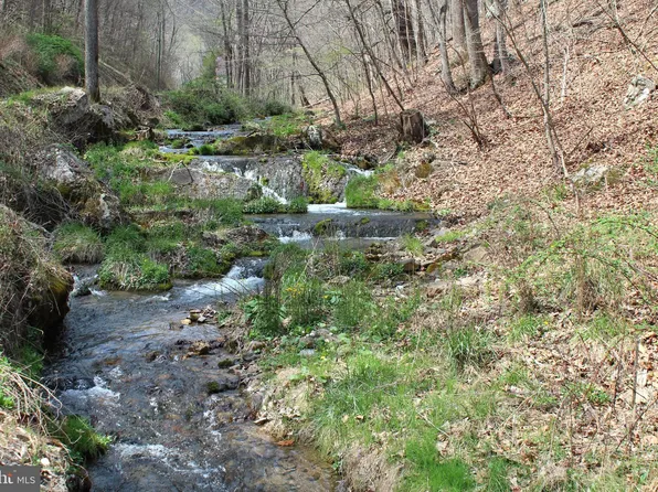 26.42 Dumpling Run Rd, Moorefield, WV 26836