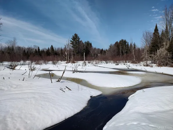 Atherton Rd, Trenary, MI 49891