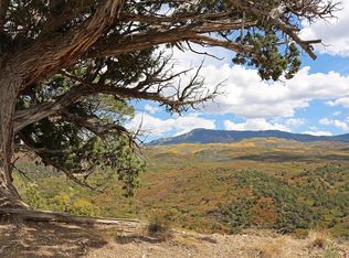 Tbd Buckhorn Rd, Montrose, CO 81403