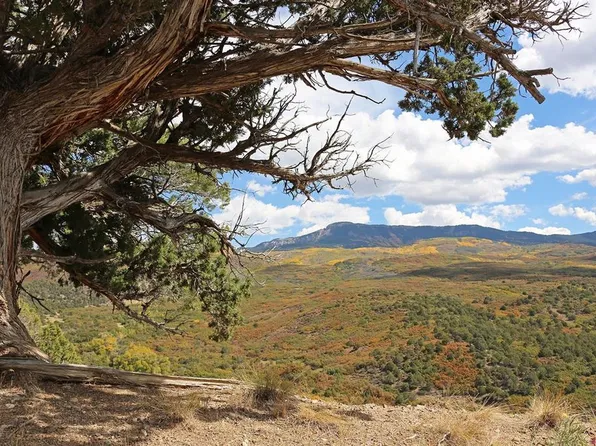 TBD Buckhorn Road, Montrose, CO 81403