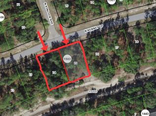 11297-11301 N Kenney Loop #14-15, Dunnellon, FL 34433
