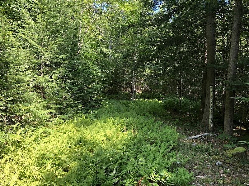 5th image of L53.12 New Vermont Road