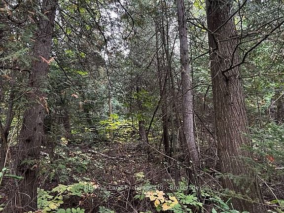 5th image of 4 Shore Rd S