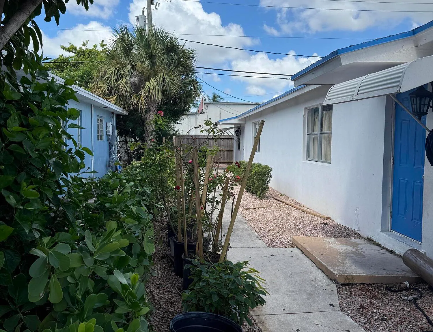 2 bed, 1.0 bath, 910 sqft, $2,300 — Photo 2