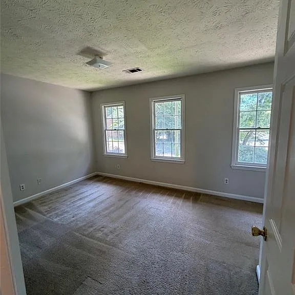 1337 Sweet Pine Dr — Photo 11