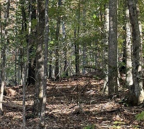 2nd image of 2 Henson Rd