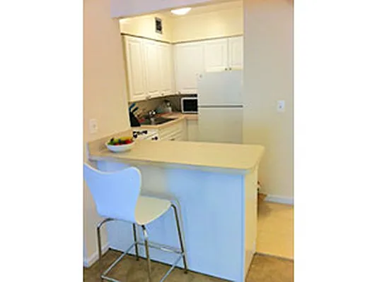 Rented by Manhattan Apartments | media 14