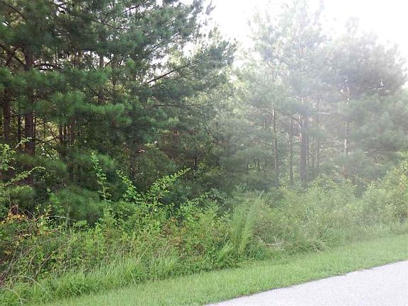 3rd image of 976 Eagles Harbor Dr Lot 157
