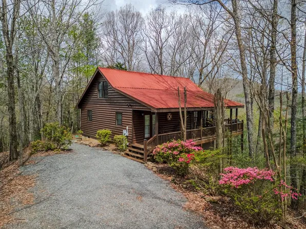 507 Bushy Head Rd, Cherry Log, GA 30522