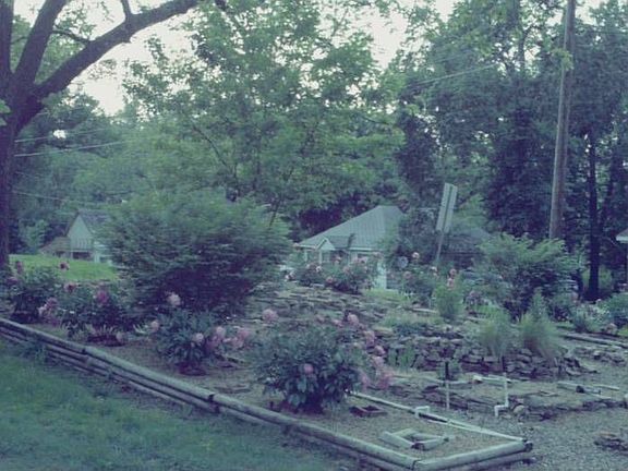 Garden in Bloom