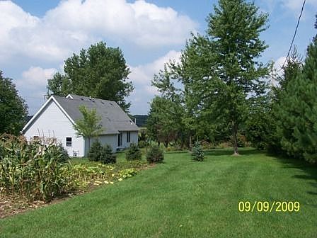 Back view from garden