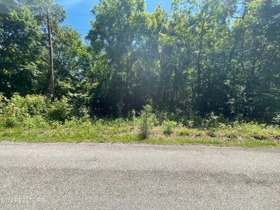 0 Spruce Dr, Spring City, TN, 37381