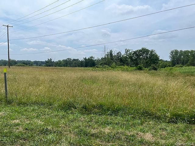 2nd image of Pulcher Avenue