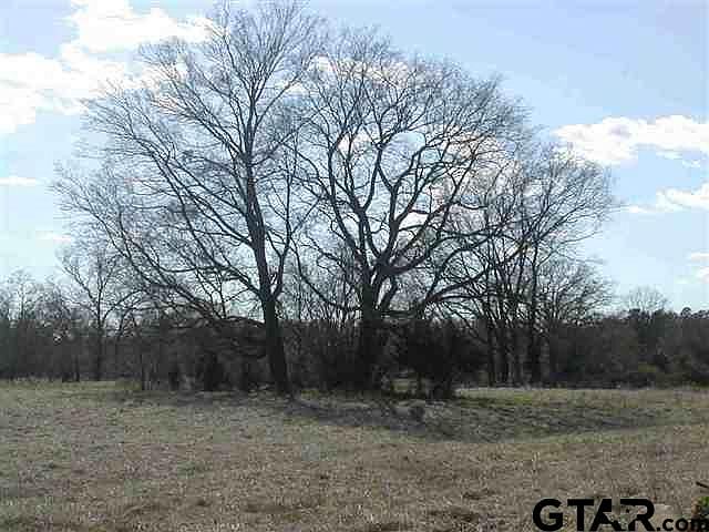 2nd image of LOT 22 County Road 4950
