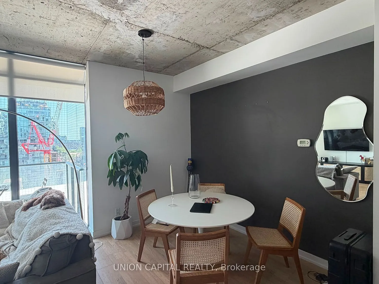 Six50 King — Photo 2