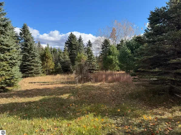 W Arnold Rd, Manton, MI 49663