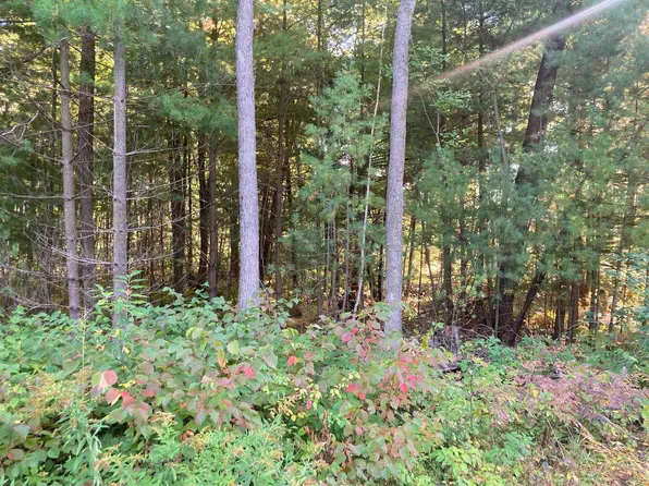 Springbrook Rd, Cecil, WI 54111