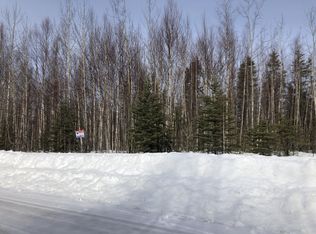 24751 W Sunnyside Way, Willow, AK 99688