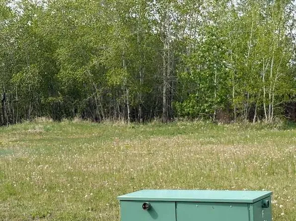 5028 45th St, Hardisty, AB T0B 1V0
