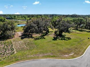 470 Long And Winding Rd #46, Howey In The Hills, FL 34737
