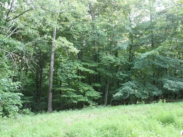 100 Cherokee Rd, Lucas, KY 42156