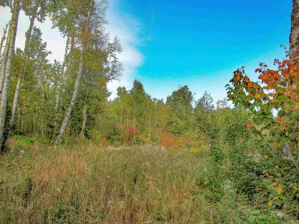 9223 W Highway 61, Schroeder, MN 55613