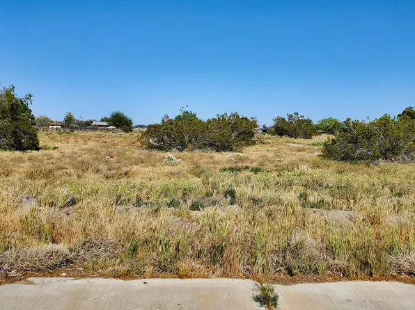 159th Street East & Newmont Ave, Lancaster, CA 93535