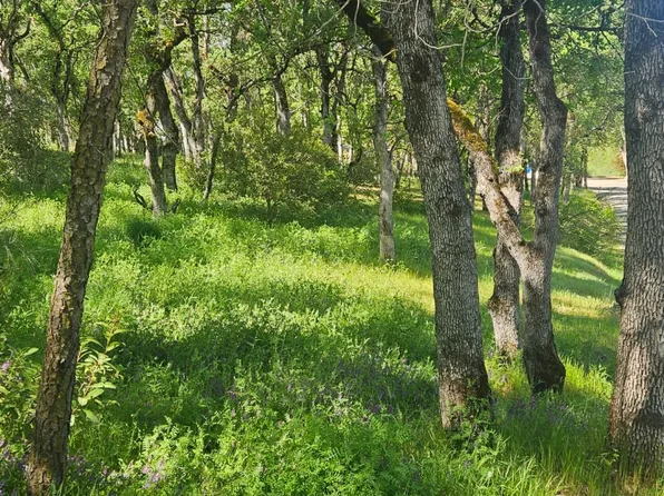 15583 33rd Ave, Clearlake, CA 95422