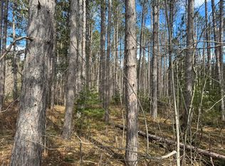 1 Sturgis Rd, Atlanta, MI 49709