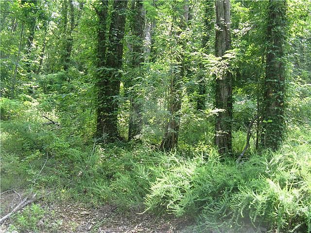 1st image of 75 Baymont Dr Lot 75