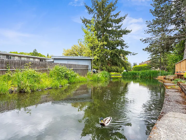 Crystal springs creek