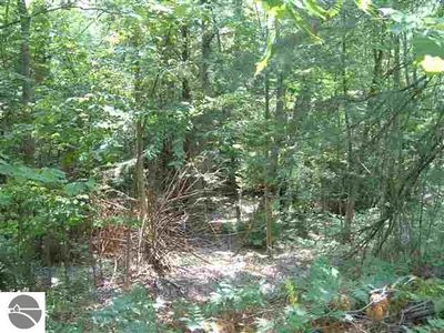 Open Meadow Ln #A & F, Traverse City, MI, 49685