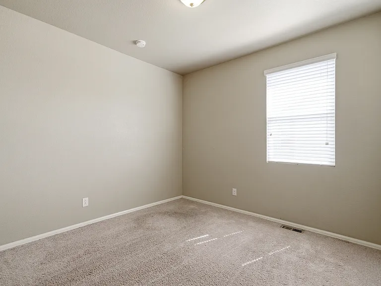 3758 Torch Lily St — Photo 18