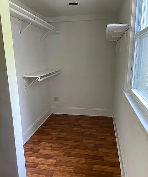 11748 Big Tree Rd — Photo 3