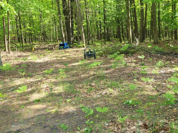 Tolliver St, Mears, MI 49436