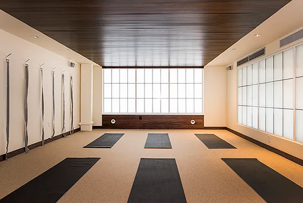 Rented by Bold New York | media 52